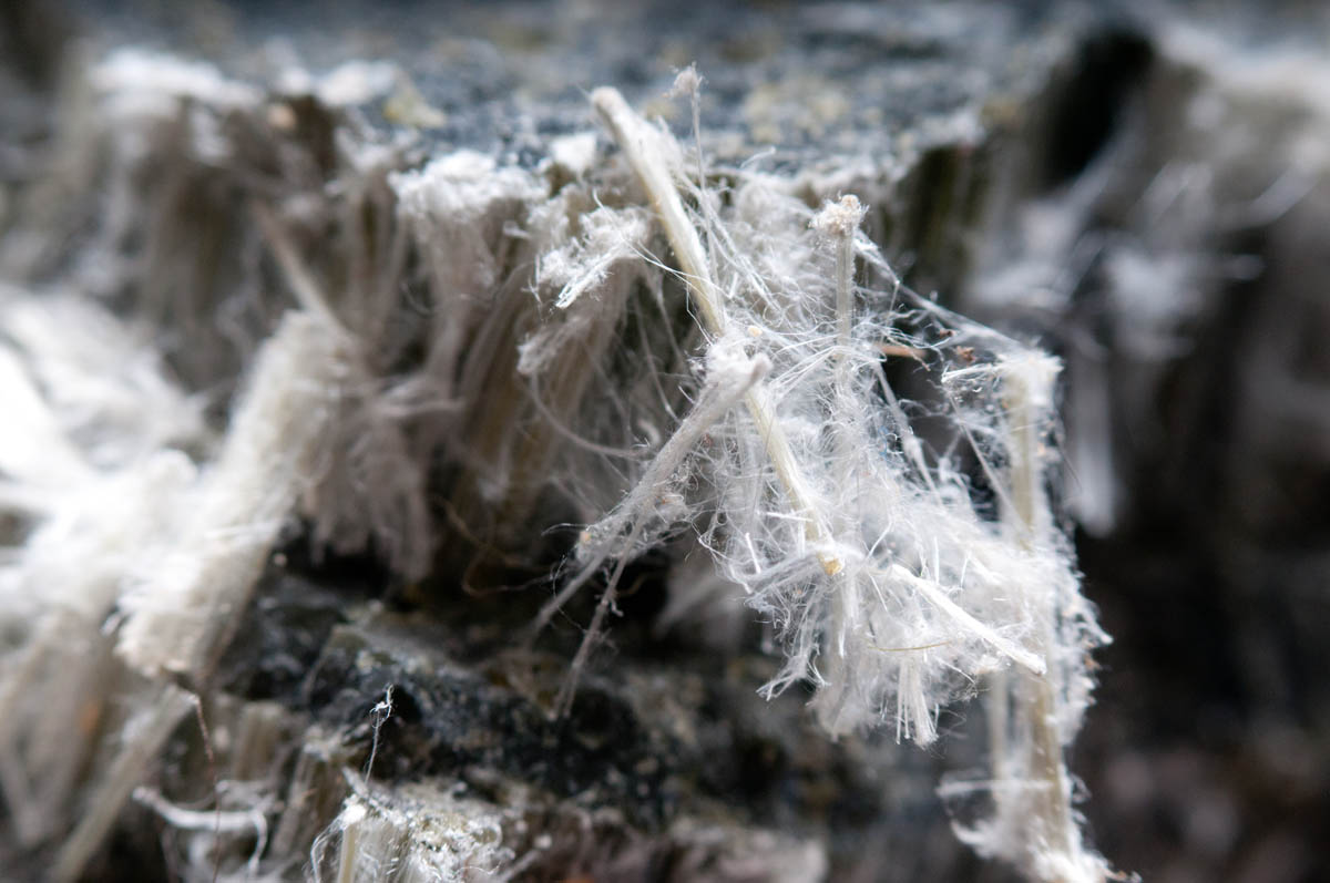 Asbestfasern unter Mikroskop