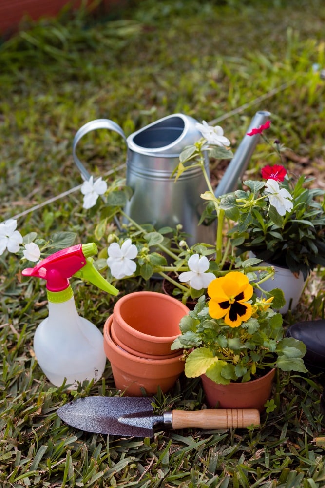 schwermetall im garten